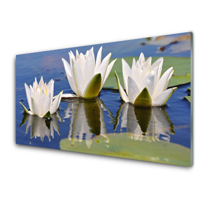 Tableau sur verre Fleurs Plante d'eau