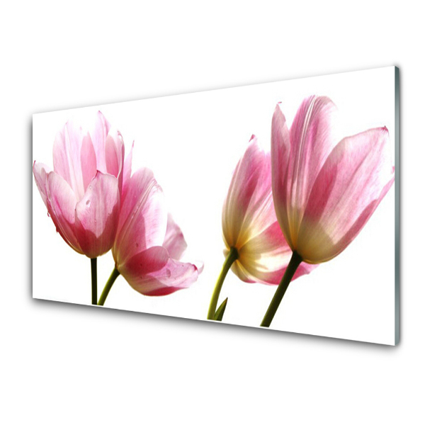 Tableau photo sur verre Fleurs Plante