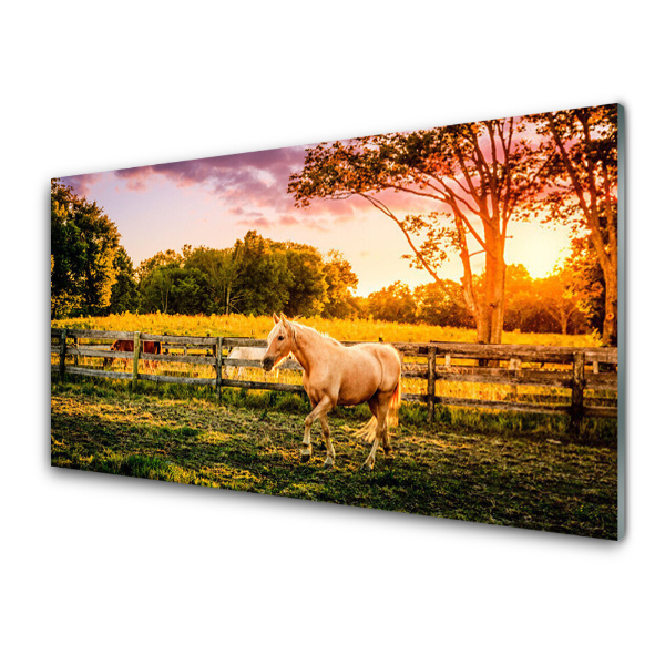 Tableau en verre Cheval Ferme Nature