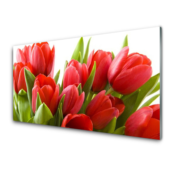 Tableau sur verre Tulipes rouges Fleurs Plante