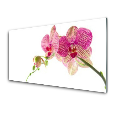 Tableau verre imprimé Fleurs Plante