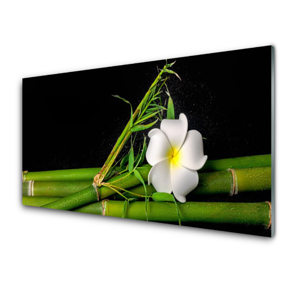 Tableau sur verre Bambou Fleur Plante