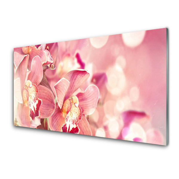 Tableau photo sur verre Plante de fleurs