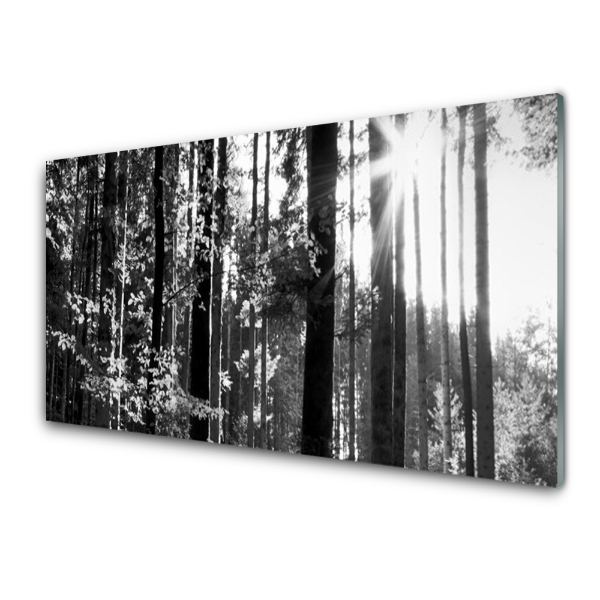 Tableau sur verre Forêt Nature Arbres