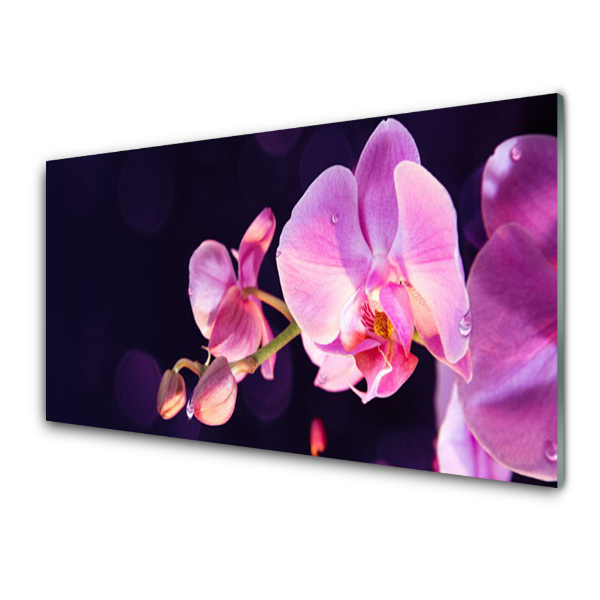 Tableau photo sur verre Fleurs Plante