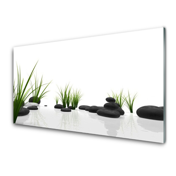 Tableau sur verre Pierres Herbe