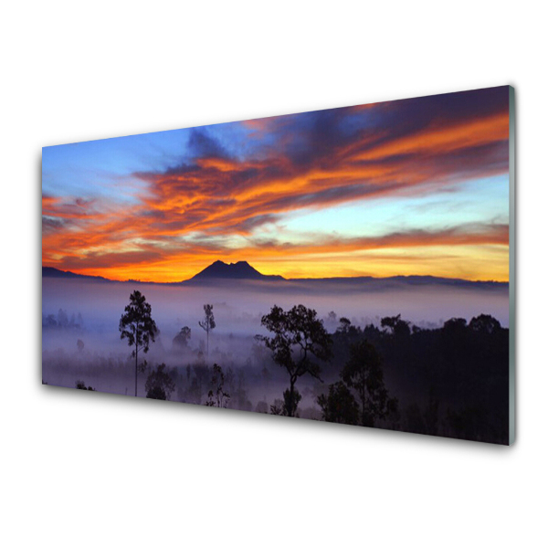 Tableau photo sur verre Arbres Montagnes Brumeuses