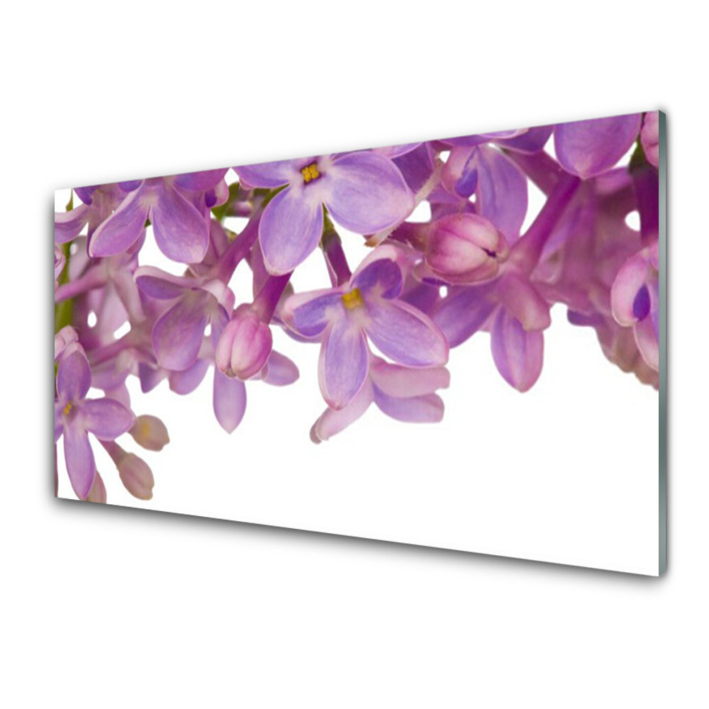 Tableau sur verre Plante fleurie