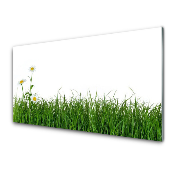 Tableau imprimé sur verre Herbe Nature Fleur