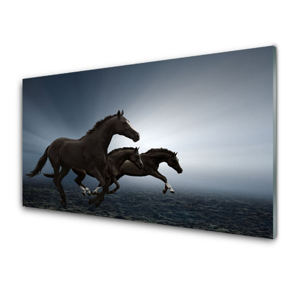 Tableau imprimé sur verre Chevaux sur fond gris