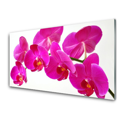 Tableau verre imprimé Fleurs d'orchidées roses