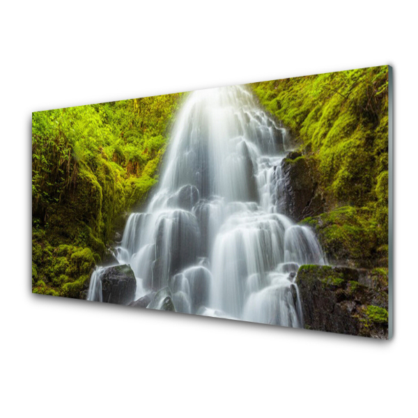 Tableau photo sur verre Cascade Mousse