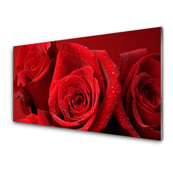 Tableau sur verre Fleurs de roses rouges