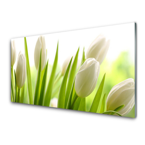 Tableau imprimé sur verre Bouquet de tulipes blanches