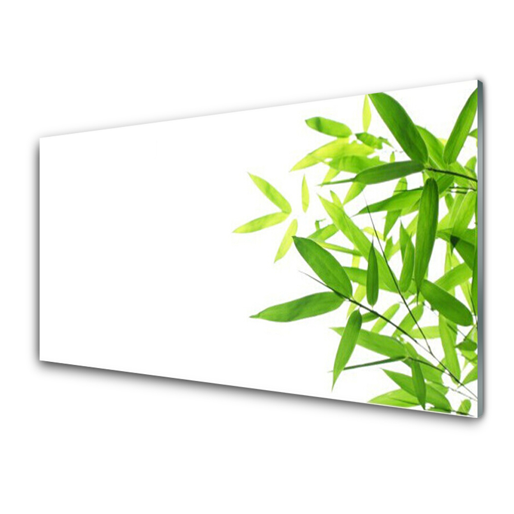 Tableau verre imprimé Feuilles fond blanc