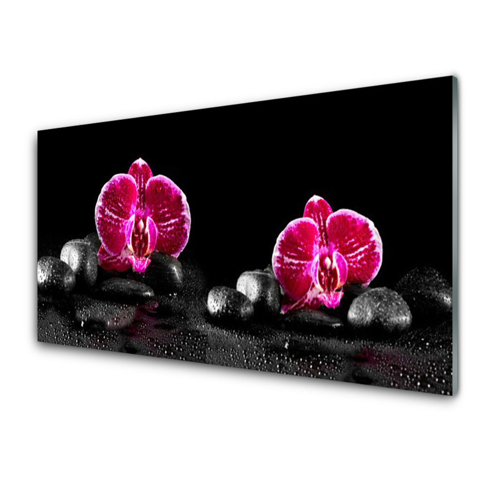 Tableau en verre Deux orchidées roses