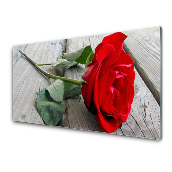 Tableau imprimé sur verre Planches de fleurs de roses