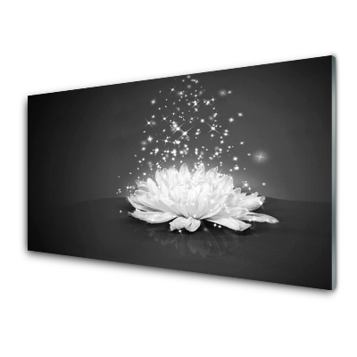 Tableau photo sur verre Gouttes de rosée de fleurs blanches