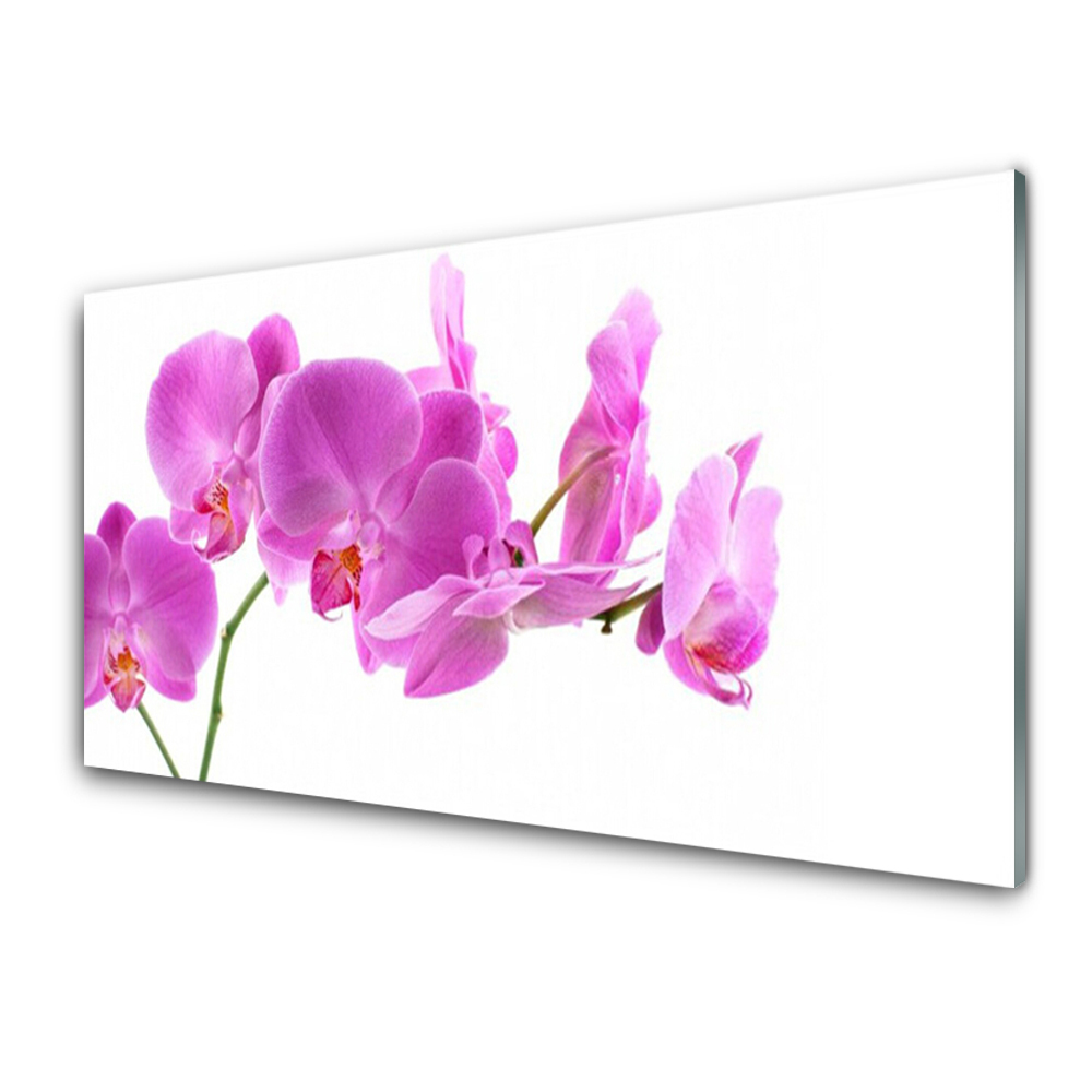 Tableau en verre Fleurs d'orchidées roses
