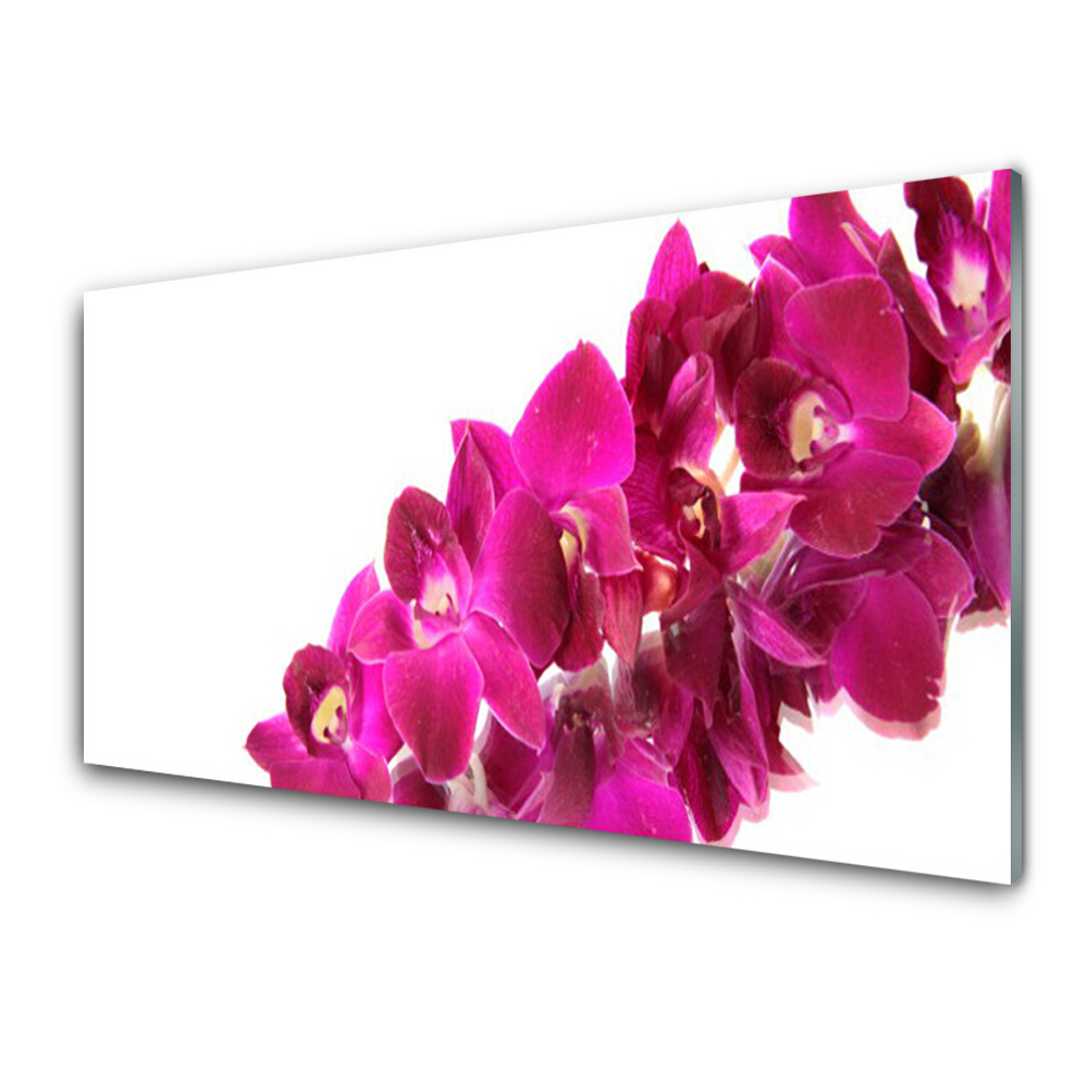 Tableau verre imprimé Fleur rose sur fond blanc