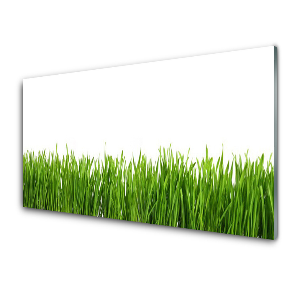 Tableau verre imprimé Herbe verte Nature