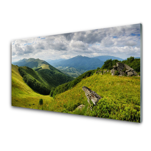 Tableau sur verre Prairie en montagne Paysage