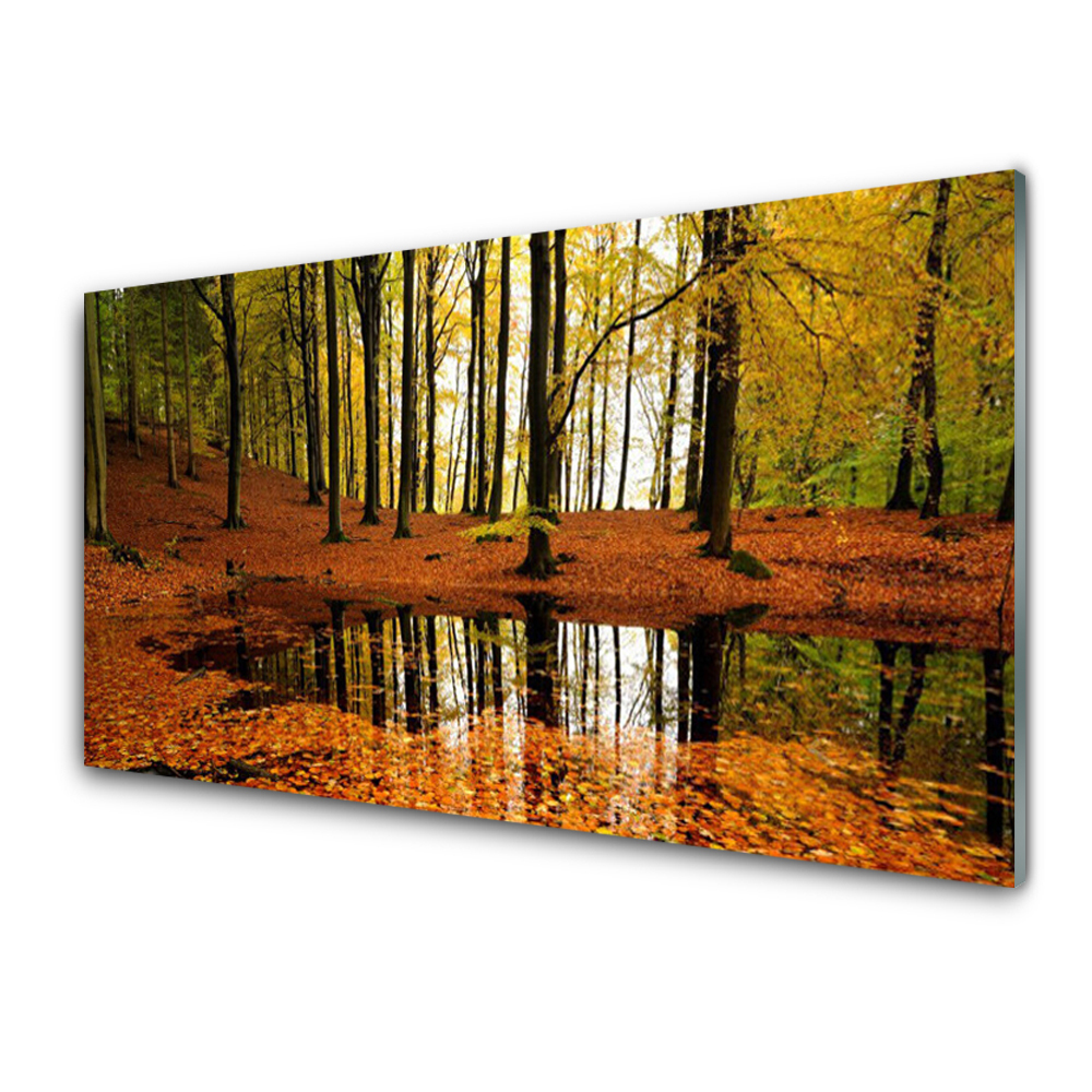 Tableau imprimé sur verre Forêt d'automne Arbres