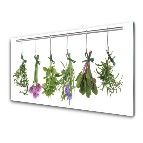 Tableau verre imprimé Bourgeons suspendus Plantes Nature