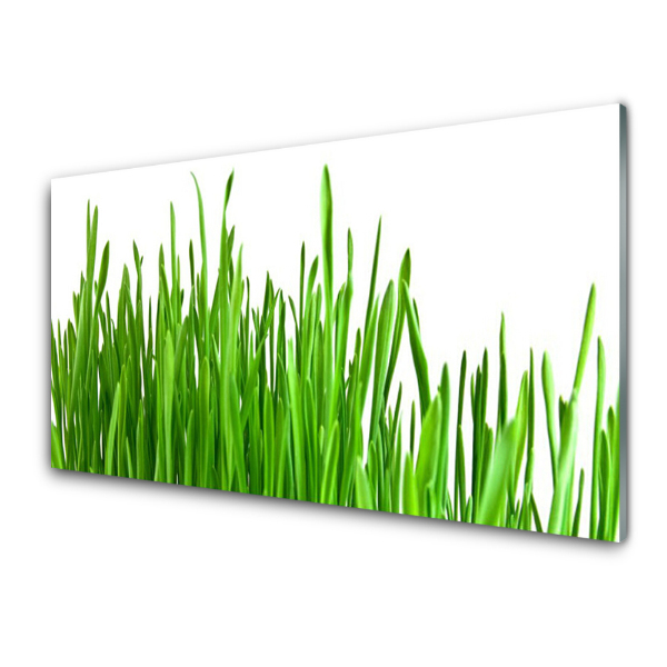 Tableau sur verre Herbe qui pousse Nature