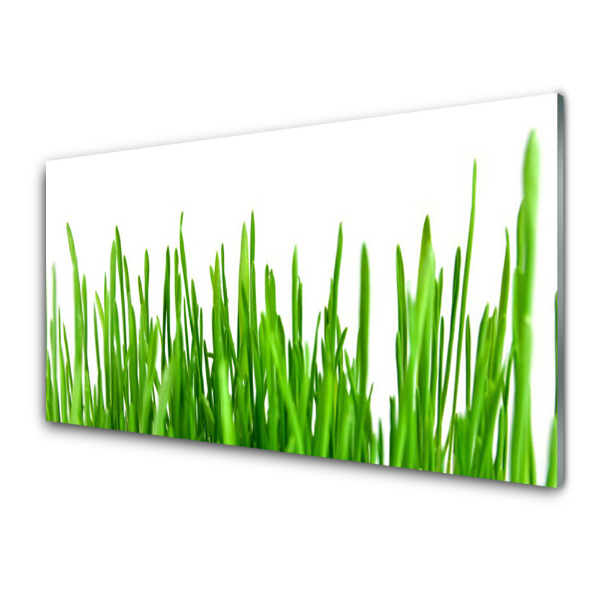 Tableau imprimé sur verre Jeune herbe Plante Nature