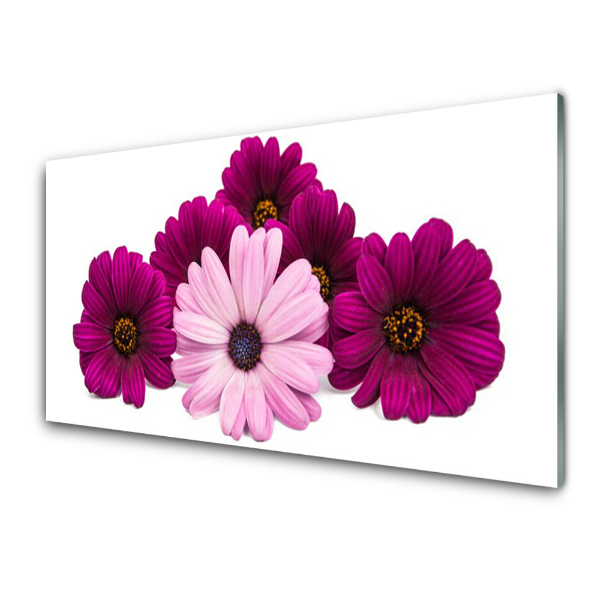 Tableau sur verre Bouquet de fleurs roses Nature