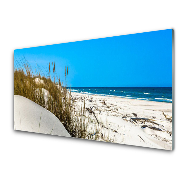 Tableau verre imprimé Dunes au bord de l'eau Paysage