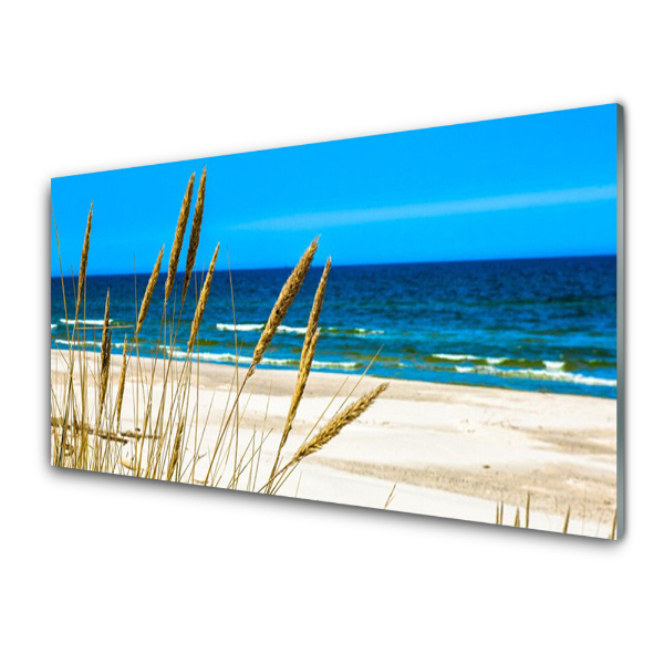 Tableau photo sur verre Sable au-dessus de l'eau Paysage