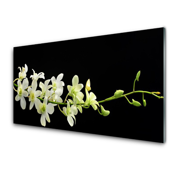 Tableau sur verre Fleurs blanches sur fond noir Nature