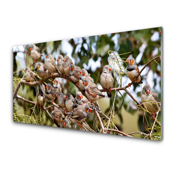 Tableau photo sur verre Troupeau d'oiseaux