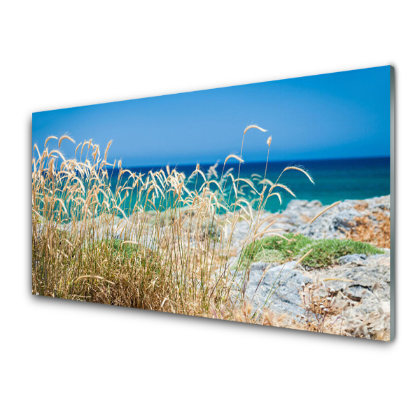 Tableau sur verre Paysage de plage Nature