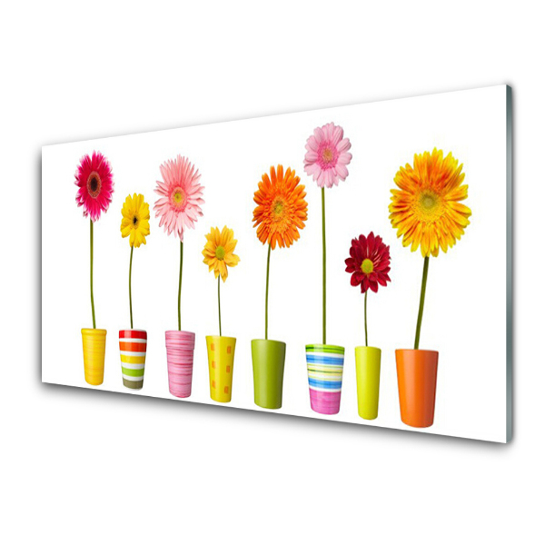 Tableau imprimé sur verre Fleurs colorées en pots