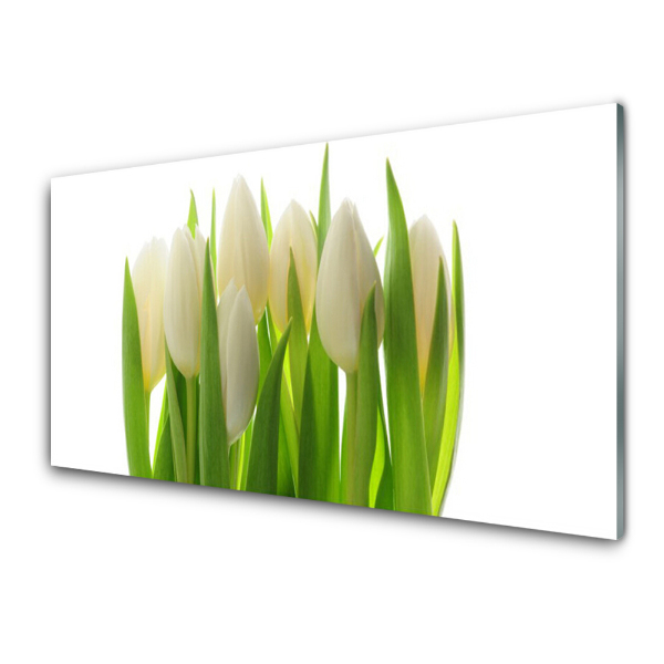 Tableau sur verre Tulipes blanches Fond blanc