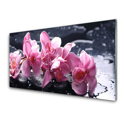 Tableau imprimé sur verre Fleur Orchidée Eau