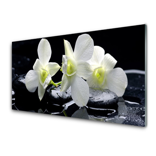 Tableau en verre Fleur Orchidée blanche