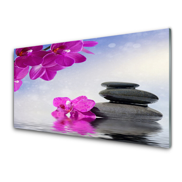 Tableau photo sur verre Fleur Orchidée rose