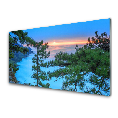 Tableau imprimé sur verre Cimes d'arbres dans une forêt