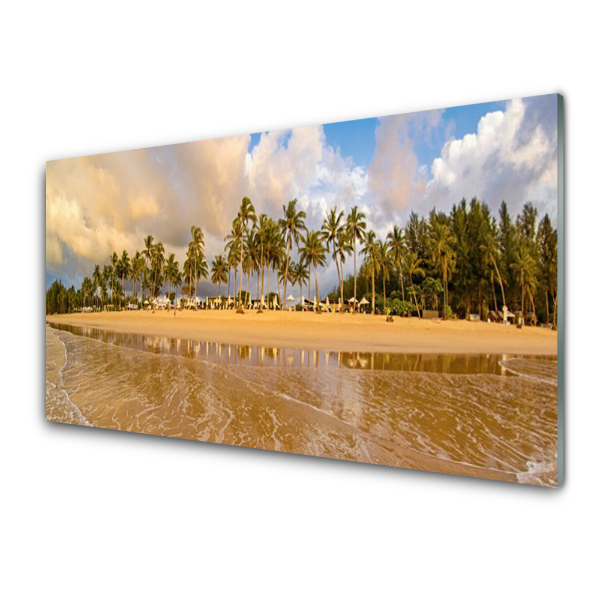 Tableau photo sur verre Plage de palmiers Paysage