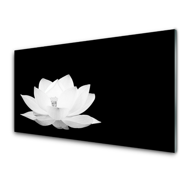 Tableau verre imprimé Lotus blanc sur fond noir