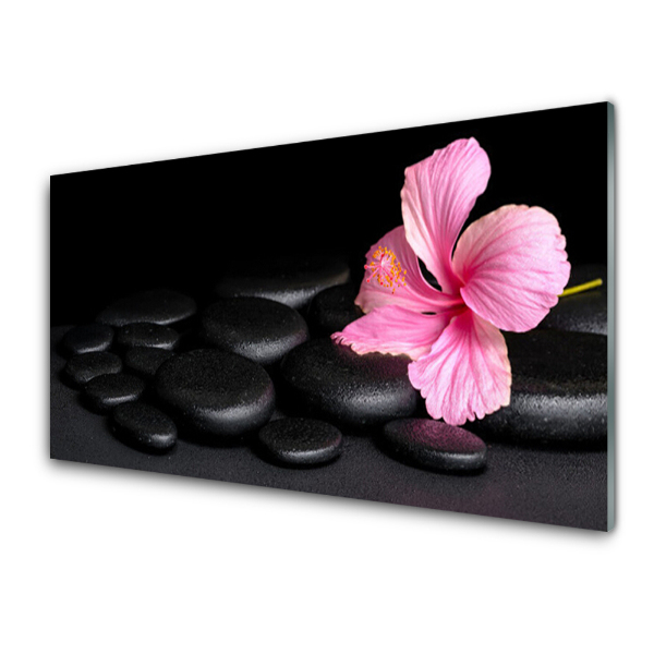 Tableau photo sur verre Pierres noires et fleur