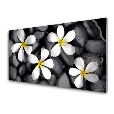 Tableau imprimé sur verre Fleurs blanches sur des pierres