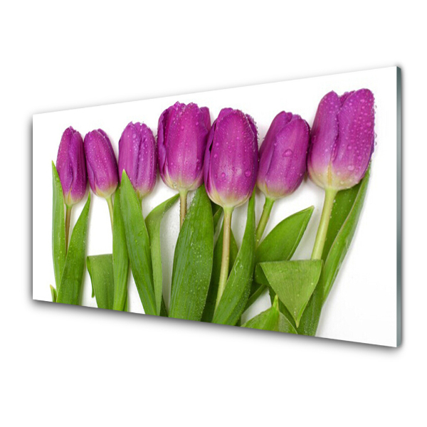 Tableau imprimé sur verre Tulipes mauves