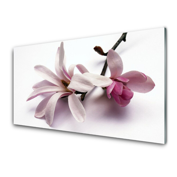 Tableau verre imprimé Fleur rose vif sur une branche