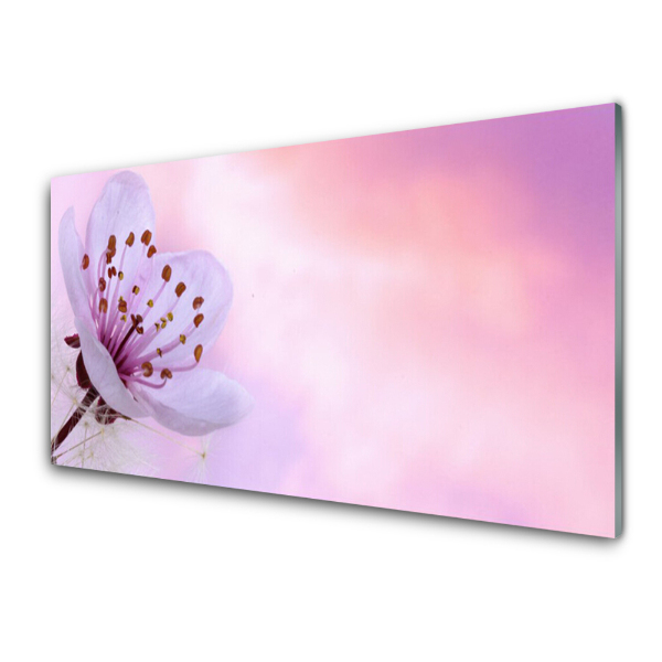 Tableau photo sur verre Fleur sur fond rose clair