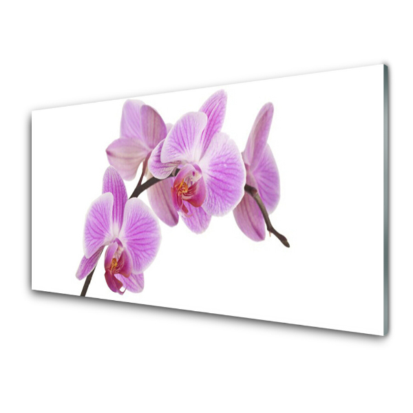 Tableau verre imprimé Orchidée violette